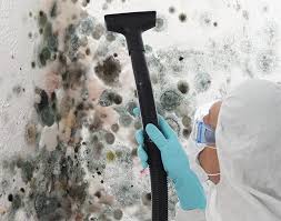 Best Mold Remediation for Healthcare Facilities  in Canton, GA